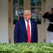 Prezydent USA Donald Trump