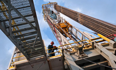 Wisent Oil & Gas kontynuuje poszukiwania