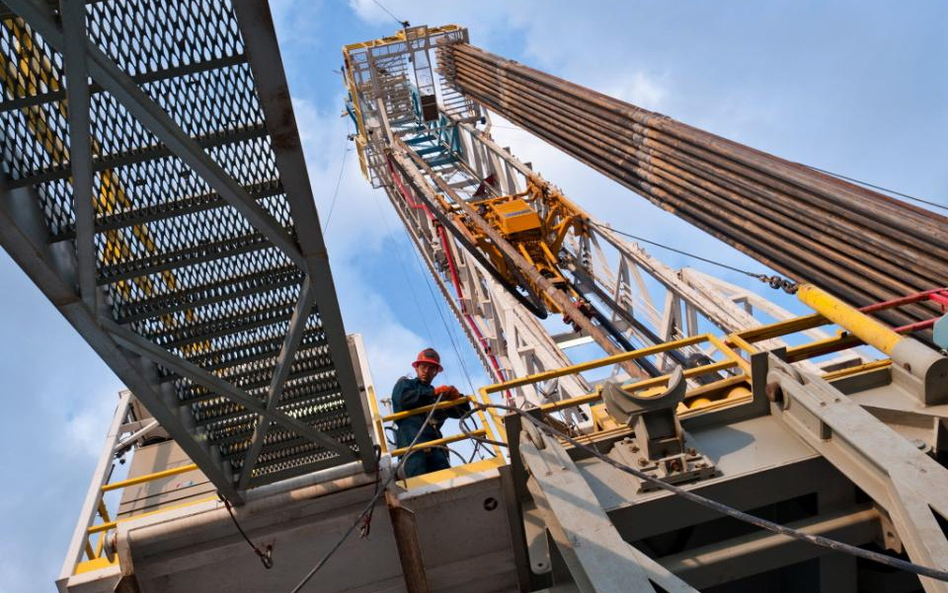Wisent Oil & Gas kontynuuje poszukiwania