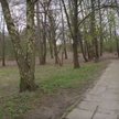 Wyłączenie z parku terenu pod parking nie było konieczne