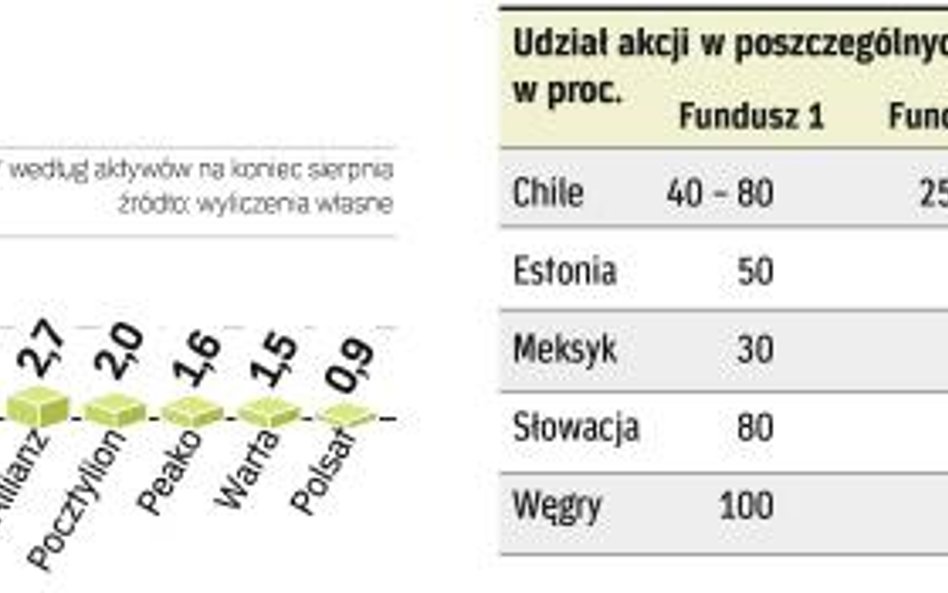 Na rękę największym funduszom jest zakaz akwizycji, który zakłada nowelizacja ustawy. Mniejsze fundu