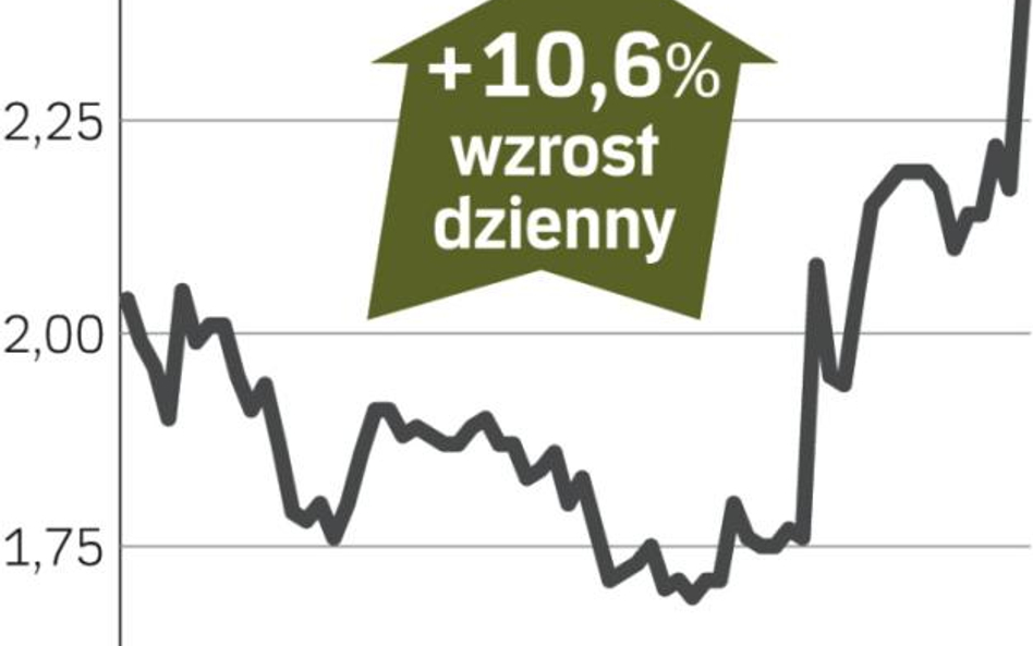 Inwestorzy wierzą w firmę Karkosika