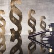 Gurgul: mój ranking wielkich i małych