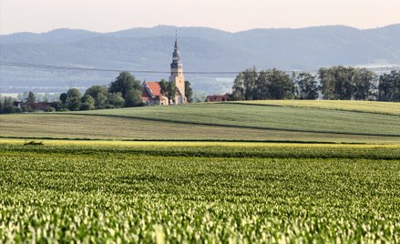 Koniec z nieodpłatnym przekazywaniem ziemi Kościołowi? Sejm zajmie się projektem