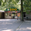 Do poznańskiego zoo nie można wchodzić z rowerami, jeździkami czy hulajnogami.