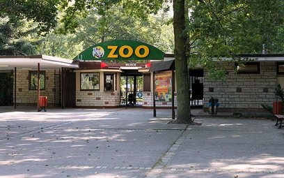 Do poznańskiego zoo nie można wchodzić z rowerami, jeździkami czy hulajnogami.