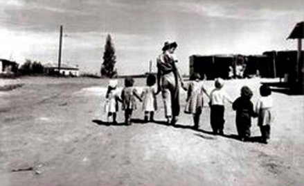 Wojna genów z ideologią