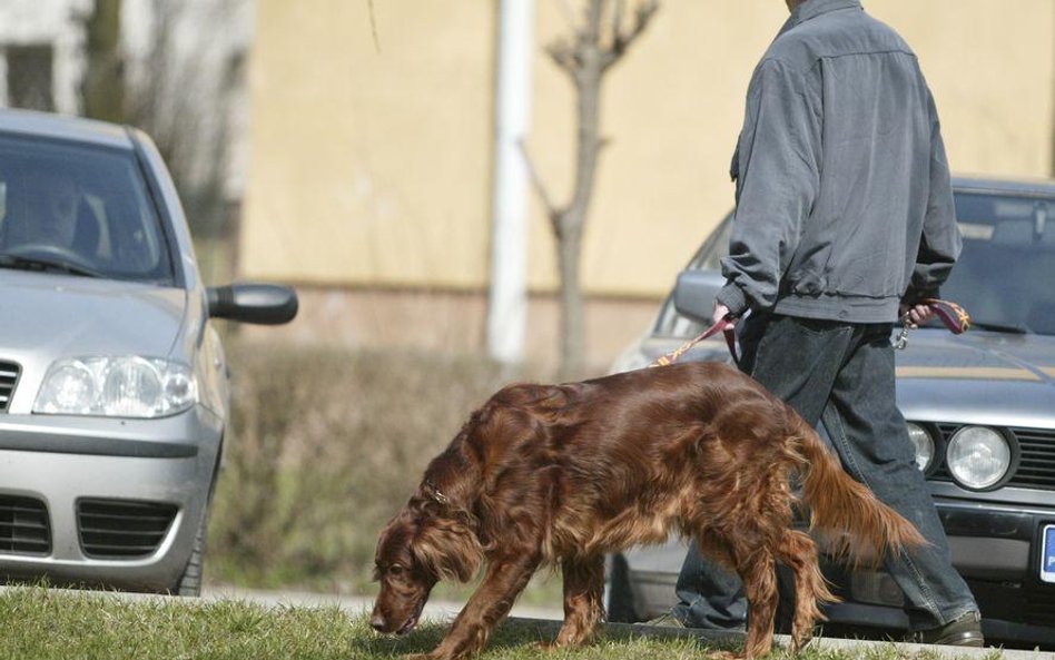 Właściciele zwierząt bardziej odpowiedzialni