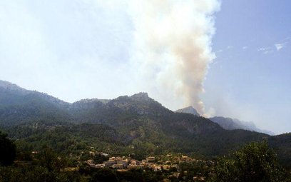 Majorkański las w ogniu