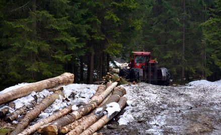 Donald Tusk zapowiedział współpracę z leśnikami, strażnikami ochrony przyrody, pracownikami parków n