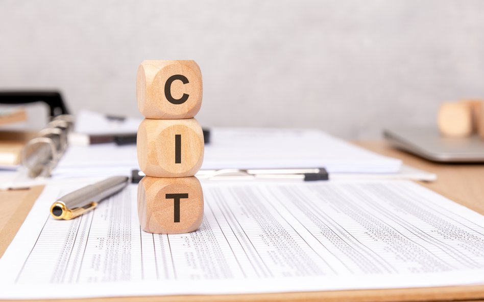 Rząd sięga głęboko do kieszeni energetyki. CIT ma zbilansować budżet