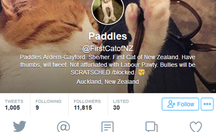 "Pierwszy kot Nowej Zelandii" zginął pod kołami auta