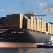 MSC Maya