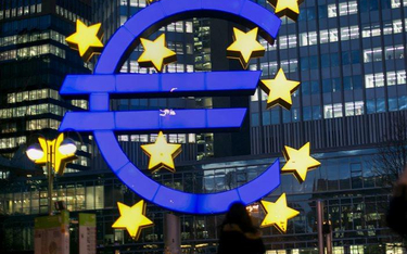 Bruksela nie chce osobnego budżetu dla strefy euro