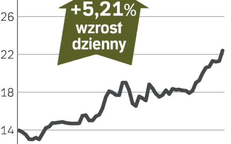 Akcje zyskują przed walnym