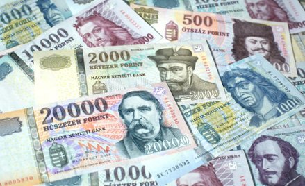 The Wall Street Journal: Mocny forint zły, słaby jeszcze gorszy