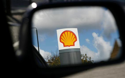 Nigeria domaga się 5 mld dol. odszkodowania od Shella