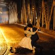 Ostatnie tango, reż. German Kral