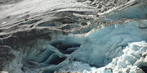 Arktyczna odsłona pradziejów