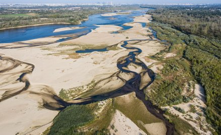 Niski stan Wisły w Warszawie we wrześniu 2024 roku.