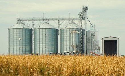 Giełda będzie handlować zbożem. GPW podpisała porozumienie z Elewarrem