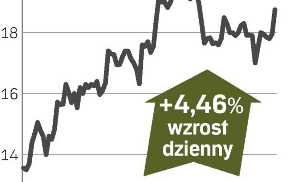 Nadzieja na dobry całoroczny wynik