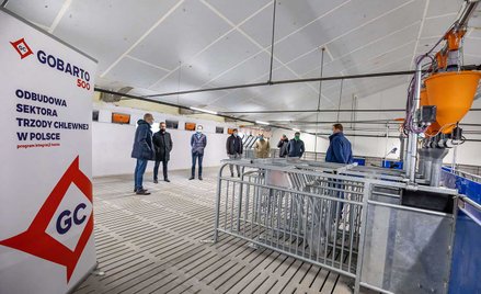 Czy grupa Gobarto pozostanie na giełdzie?
