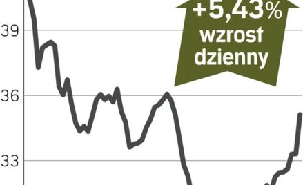Podwyżka cen prądu winduje kurs