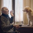 Bohater „Truflarzy”: Aurelio i jego Birba. Film już w kinach