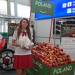 Do pracy przy mistrzostwach Europy rekrutowano najczęściej nie pracowników, ale wolontariuszy