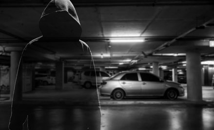 Złodzieje polują na drogie auta