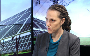 #RZECZoBIZNESIE: Katarzyna Guzek: W kolejnej dekadzie musimy zupełnie zrezygnować z węgla