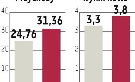 Sonel: Cały zysk na dywidendę