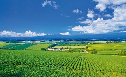 Reprywatyzacja: czy TK zajmie się całościowo dekretem o reformie rolnej