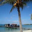Aruba