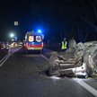 Miejsce tragicznego wypadku na drodze krajowej nr 2 w miejscowości Janów między Mińskiem Mazowieckim