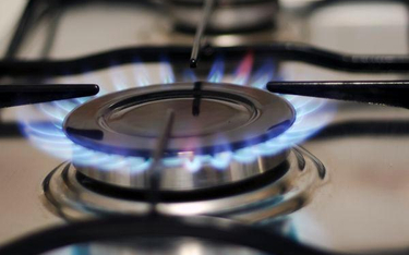 SN: Niełatwo zmienić zatwierdzoną taryfę cen gazu