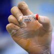 Biomed-Lublin coraz bliżej celu