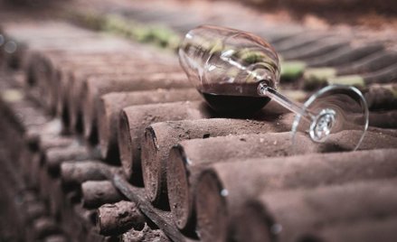 Wina Mazurka: Uciec przed obcinarką