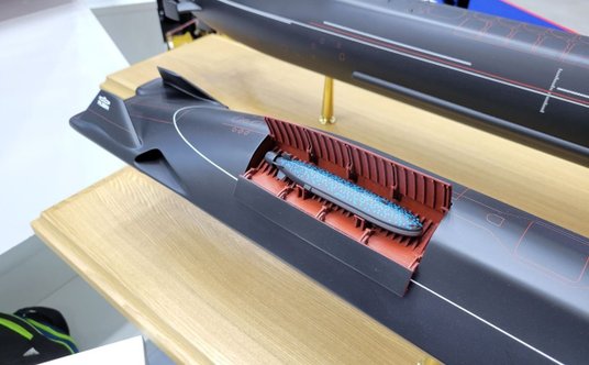 Zbliżenie doku Surrogata-W. Widać też chwyt wody do tunelu pędnika prawoburtowego i pochylone do wew