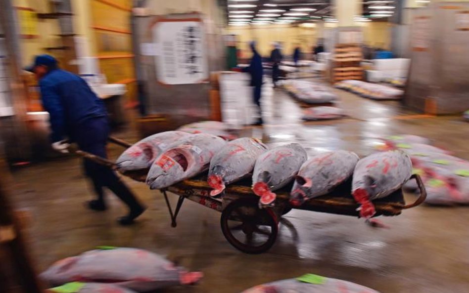 Okazy, kiedyś zbyt małe, by je łowić, dziś godne zakupu