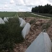 Zapory przeciwczołgowe wzdłuż Bałtyckiej Linii Obrony