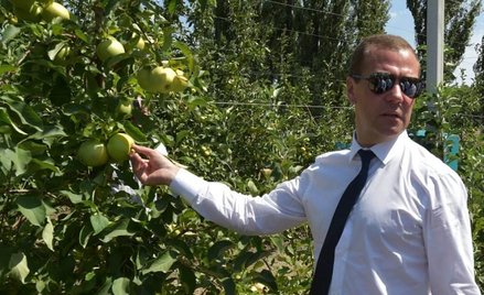 Miedwiediew: Polacy oblewają jabłka chemią
