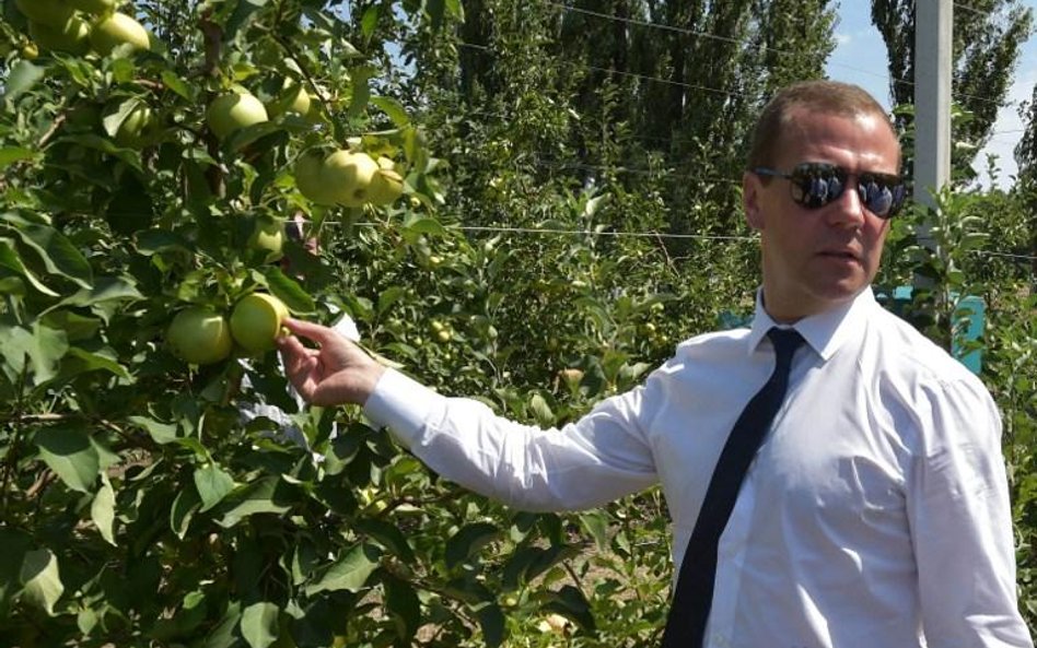Miedwiediew: Polacy oblewają jabłka chemią