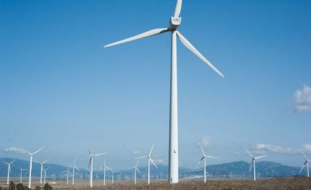 Elektrownie wiatrowe: Rozpoczęte projekty są warte ponad 8 mld zł