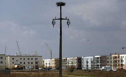 Kolejne uproszczenia przy odrolnianiu gruntów