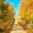 Weekend będzie słoneczny i ciepły
