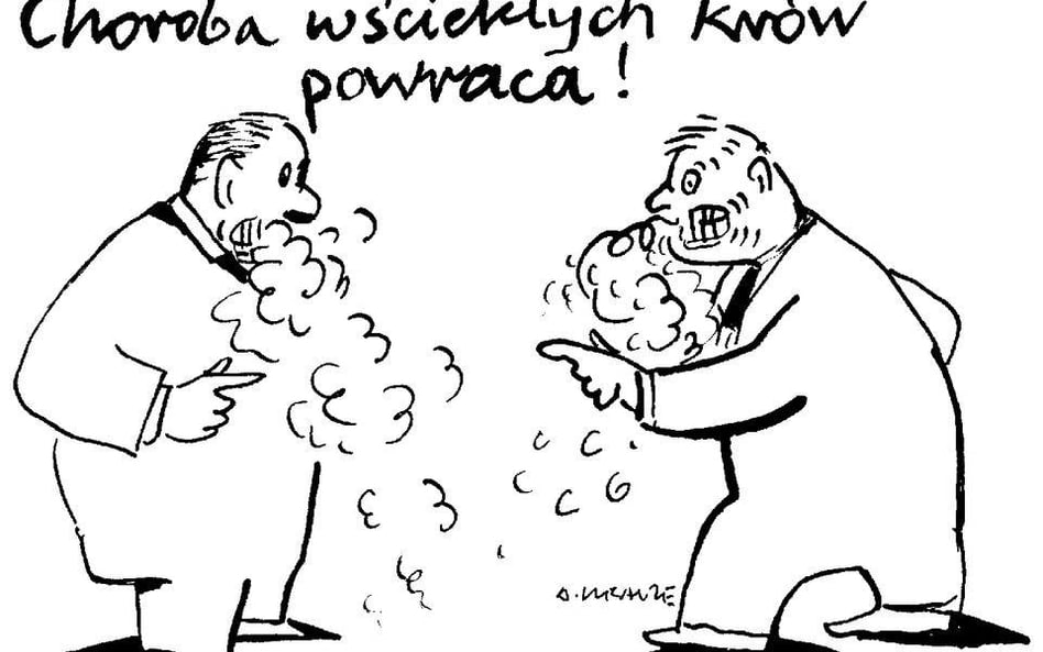 Andrzej Krauze: Wściekłe krowy