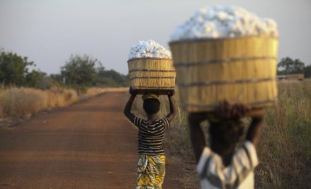 Sprawiedliwy handel zyskuje zwolenników