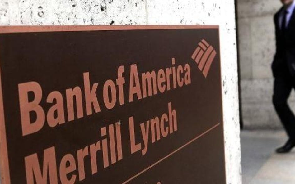 Merrill Lynch dzieli i rządzi